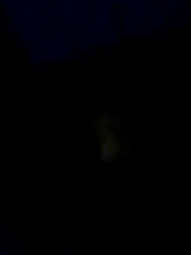 baby25cm online show from February 2026 06:15:01 PM