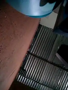 317894 online show from October 2025 03:25:01 AM