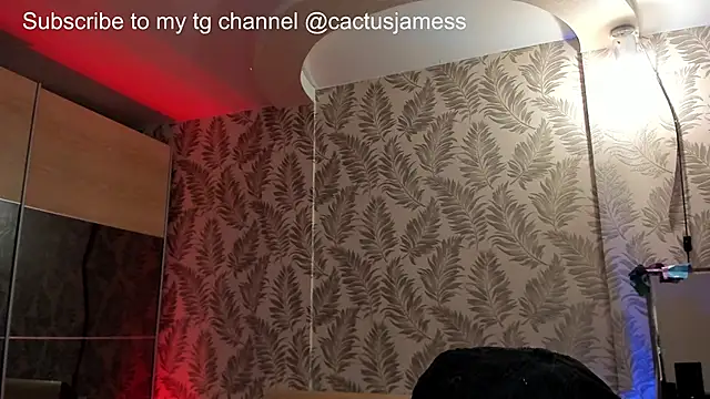 Snapshot of Cactus__James chatting on October 2025 12:28:02 AM Cactus James online show from October 2025 12:28:02 AM