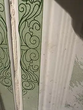 dilu98 online show from March 2025 01:42:02 PM