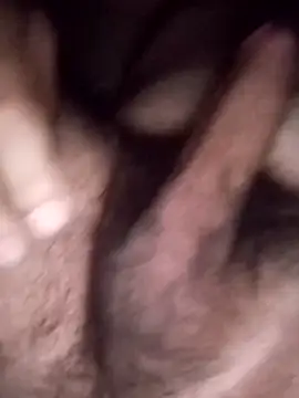 calfran online show from November 2025 06:34:02 AM