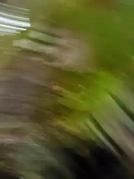 Pichoneterno online show from March 2026 12:09:01 PM