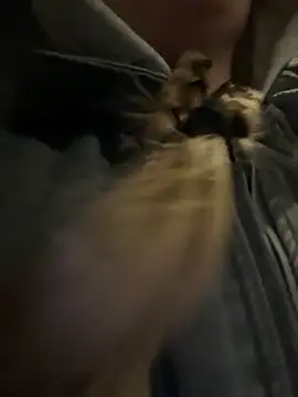 bambi lu online show from March 2026 06:58:02 PM