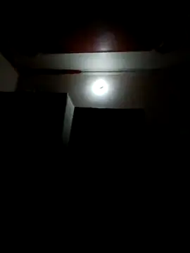 Snapshot of wildlkitten chatting on March 2025 09:24:02 PM wildlkitten online show from March 2025 09:24:02 PM