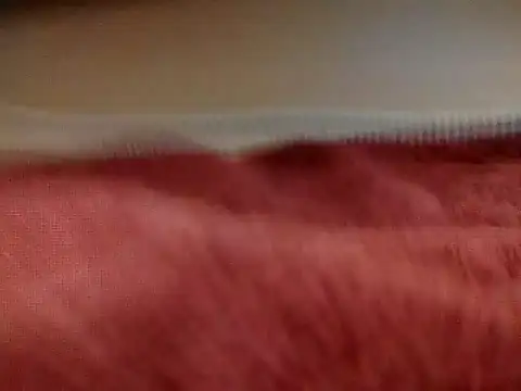 sexiebabi online show from March 2026 02:21:01 PM