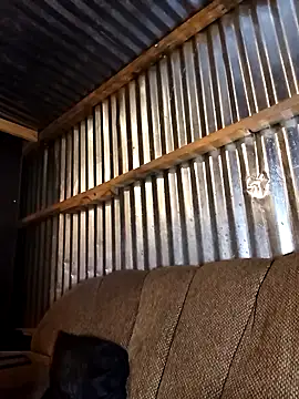 Snapshot of Thenaughtyboy360 chatting on December 2025 10:06:02 PM Thenaughtyboy360 online show from December 2025 10:06:02 PM