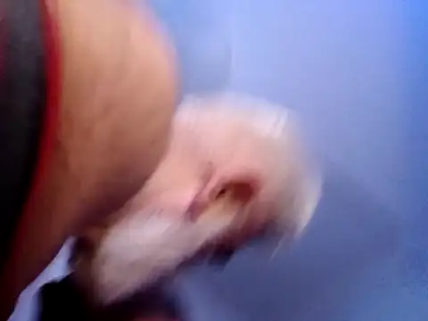 CloudyMuscleBeefy online show from November 2025 05:58:02 PM