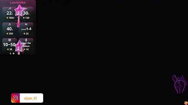 Snapshot of Siiam_tay chatting on March 2026 03:13:02 AM Siiam tay online show from March 2026 03:13:02 AM