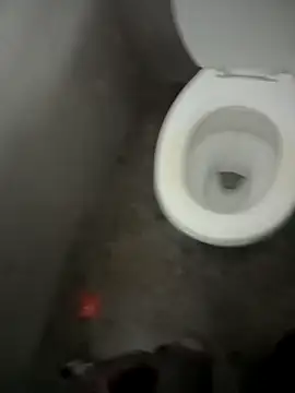 Snapshot of paptsimo chatting on December 2025 07:53:02 PM paptsimo online show from December 2025 07:53:02 PM