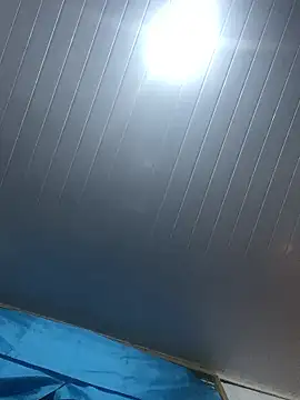 Snapshot of GeileErica chatting on November 2025 12:19:01 AM GeileErica online show from November 2025 12:19:01 AM