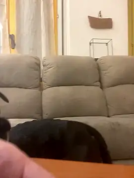 BestSexForYou online show from January 2026 02:15:01 AM