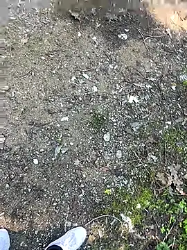 cihan 4141 online show from October 2025 08:59:01 AM