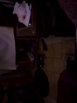 DannyRosarioxxx online show from November 2025 06:28:01 PM