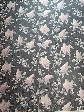 Dari Toy  online show from November 2025 01:38:02 AM