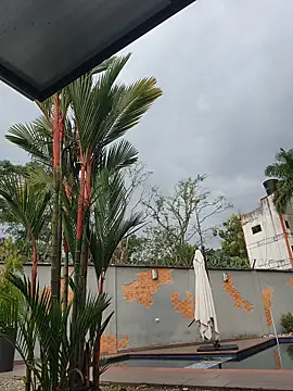 Yessica Lopezz online show from February 2026 12:23:02 PM