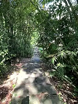 Snapshot of zack23088 chatting on October 2025 02:03:02 AM zack23088 online show from October 2025 02:03:02 AM