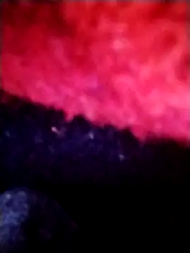 salimbasha online show from September 2025 12:27:01 AM