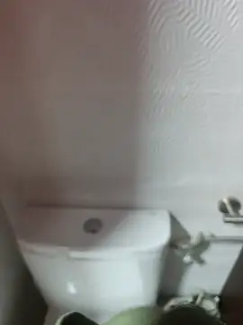 Snapshot of Flacidas chatting on October 2025 08:38:02 PM Flacidas online show from October 2025 08:38:02 PM