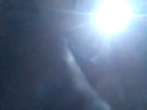 S C1 online show from February 2026 02:11:02 PM