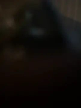 kamo012000 online show from February 2026 05:45:01 AM