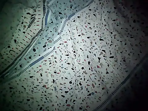 20cmloiro online show from November 2025 11:32:02 AM