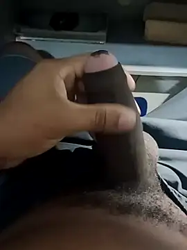 nego-insaciavel online show from February 2026 12:04:01 PM