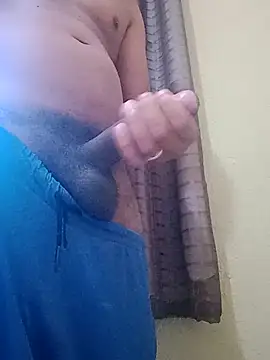 nego-insaciavel online show from March 2026 12:01:01 PM