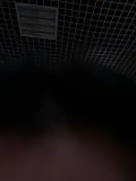 Snapshot of Liza_Will chatting on February 2026 09:00:02 AM Liza Will online show from February 2026 09:00:02 AM