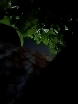 Rajopensex 955 online show from March 2026 06:22:02 PM