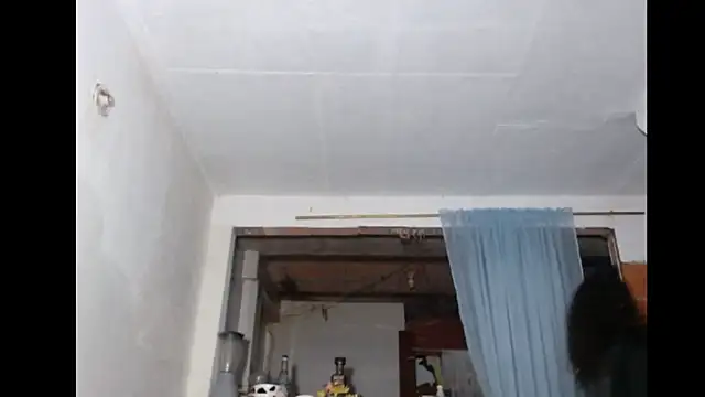 BebaFoxx online show from February 2026 11:14:01 PM