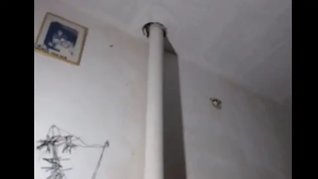 BebaFoxx online show from March 2026 08:20:02 AM