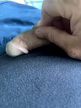 BobKat online show from October 2025 07:50:02 AM