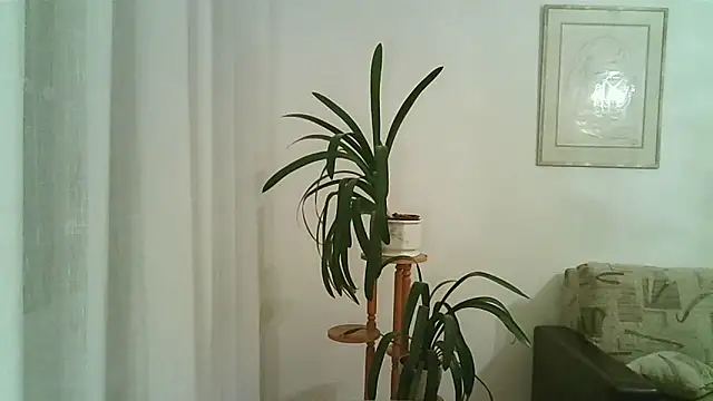 Snapshot of Dartanjanas13 chatting on November 2025 08:11:02 PM Dartanjanas13 online show from November 2025 08:11:02 PM