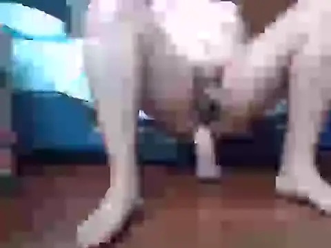 Snapshot of Culazodeantonellarocuzzo chatting on September 2025 03:34:02 PM Culazodeantonellarocuzzo online show from September 2025 03:34:02 PM