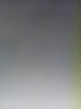 Reeta-rani online show from October 2025 02:01:02 AM