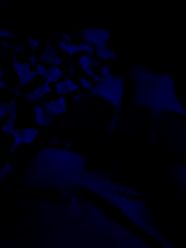 jcwxt online show from April 2026 09:07:01 AM