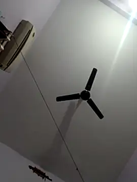 monster-dickk online show from December 2025 03:18:02 PM