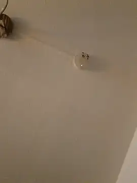 LightskinBumpa online show from November 2025 02:09:01 AM