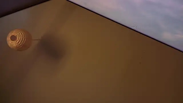 MasterDaddyCool online show from January 2026 07:27:01 PM