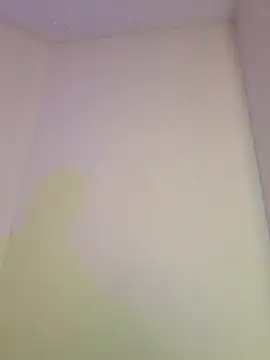 Snapshot of AmaiaSalvatore chatting on October 2025 10:41:01 PM AmaiaSalvatore online show from October 2025 10:41:01 PM