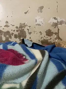 Snapshot of ParousFlow chatting on April 2026 10:22:02 PM ParousFlow online show from April 2026 10:22:02 PM