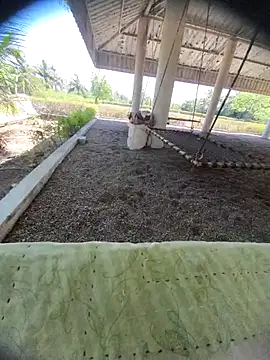 Desi Horny Boys online show from March 2026 08:19:01 AM