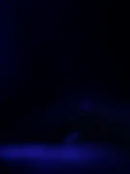 Snapshot of curis4270panda chatting on February 2026 11:39:01 AM curis4270panda online show from February 2026 11:39:01 AM