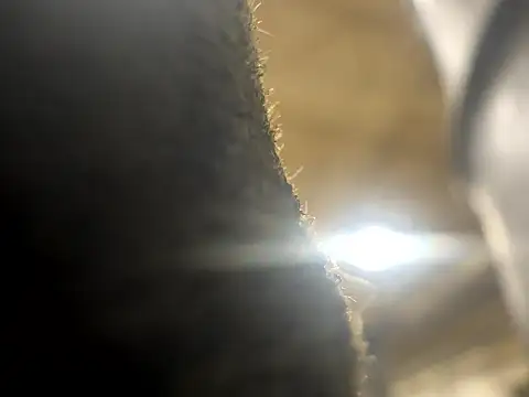 Snapshot of curis4270panda chatting on March 2026 11:41:01 PM curis4270panda online show from March 2026 11:41:01 PM