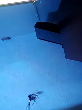 melisa hot420 online show from November 2025 08:25:01 AM