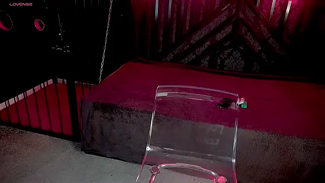 Snapshot of LiviaShy chatting on December 2025 02:45:02 PM LiviaShy online show from December 2025 02:45:02 PM