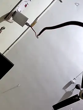 Snapshot of papukurty chatting on October 2025 03:14:02 AM papukurty online show from October 2025 03:14:02 AM