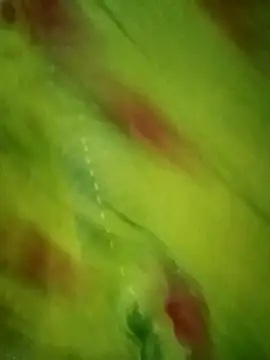 Snapshot of Shiya_janu chatting on October 2025 11:14:02 AM Shiya janu online show from October 2025 11:14:02 AM