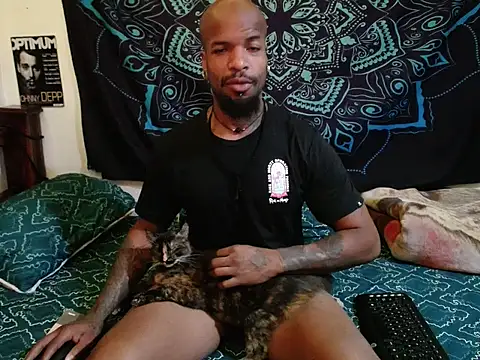 Snapshot of shaka_zullu chatting on September 2025 07:41:01 AM shaka zullu online show from September 2025 07:41:01 AM