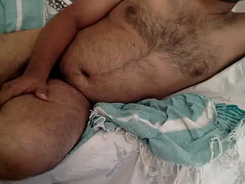 halopc online show from November 2025 08:25:02 AM